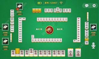 贵州麻将直播爆料最新视频,最新视频揭秘精彩瞬间  第2张